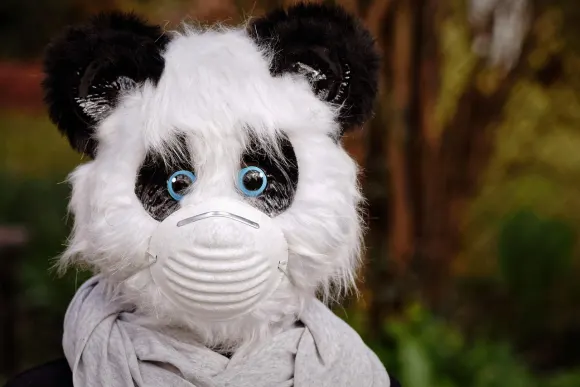 BetOriginal Casinò Supporto